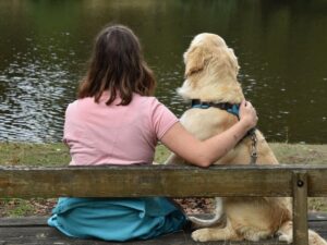 nous-partageons-les-memes-genes-du-comportement-que-les-golden-retrievers