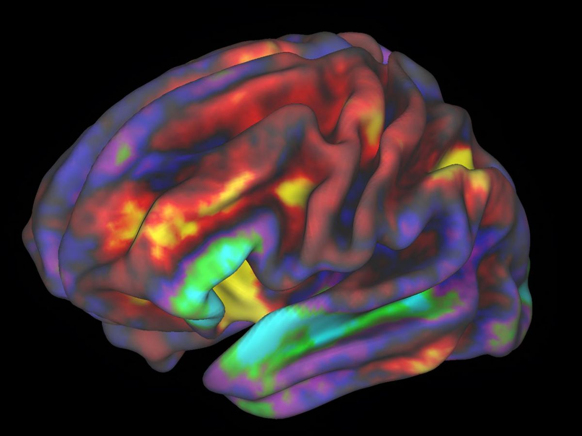a-new-method-for-transcribing-visual-thought-thanks-to-AI