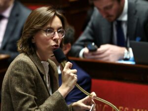 Montchalin announces it no longer plans to double its medical franchises