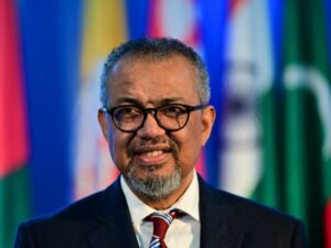 old-remedies-et-ia:-the-WHO-search-for-evidence-of-the-effectiveness-of-traditional-medicine