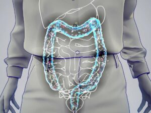 The bacteria of the microbiota have proven to play an essential role in intestinal diseases.