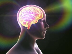 To stop thinking about anything is truly possible, and it shows in the brain.