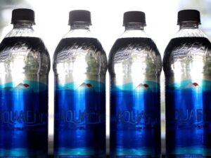 The impact of microplastics on our health depends on our diet.