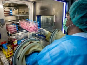 in Switzerland, a new skin manufactured for severe brain burns in Montana