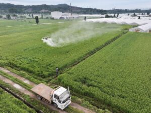 how common chemicals disrupt our microbiota