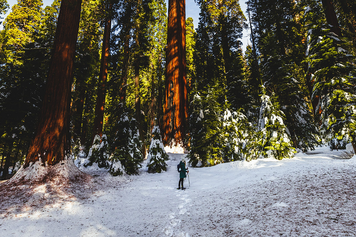 Fresno County: Not What You Thought, Just What You Needed