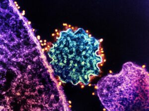 nipah-:-what-is-this-virus-that-worries-India-?