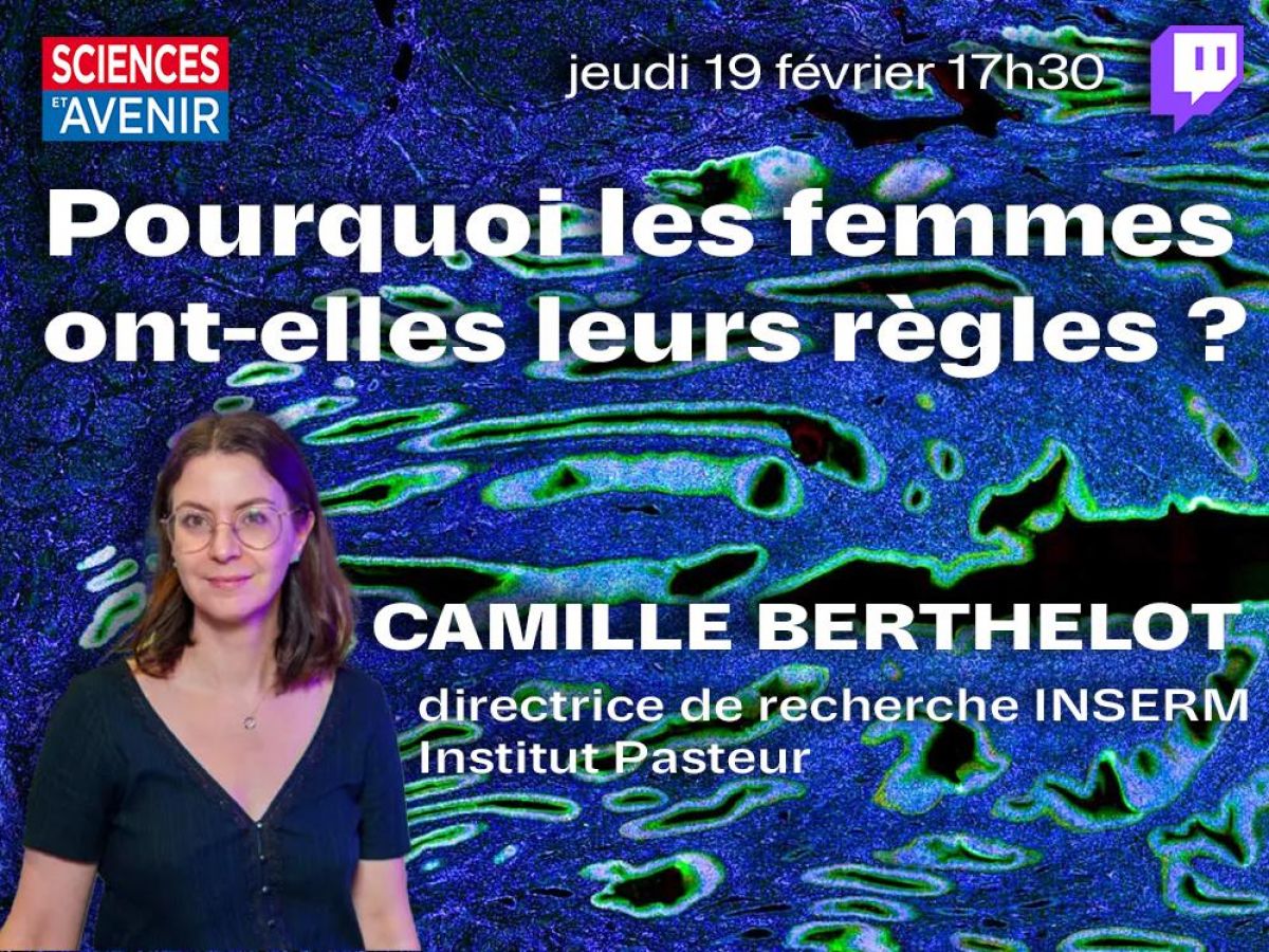 Twitch: Why do women have their periods? - with Camille Berthelot