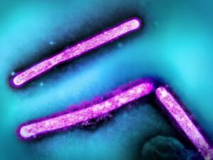 a-supermicroscope-to-track-the-flu