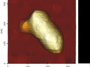 stowaways, viruses travel inside other viruses