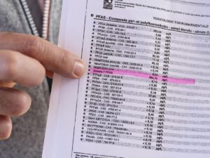 "Eternal pollutants": the application of the polluter-pays principle postponed by the government