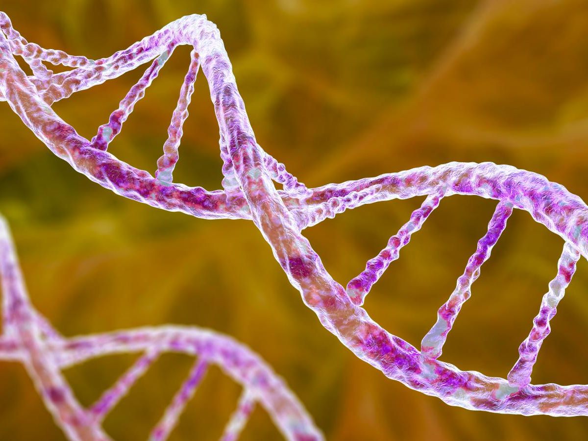 ces-robots-composes-d’adn-ciblent-les-cellules-cancereuses