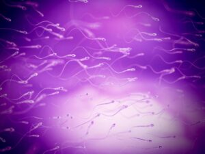 Male contraception: a new molecule blocks sperm production