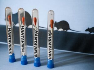 Hantavirus on a cruise ship: a passenger infected by the Andean strain