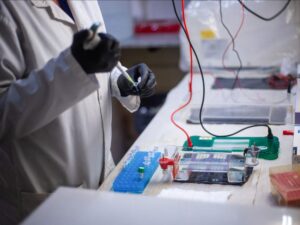 Hantavirus: What Argentina Knows, and Doesn't Know, About Its Experience with the Virus