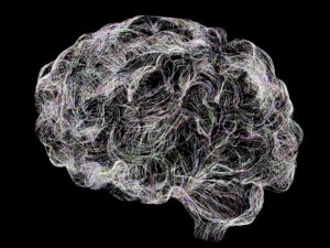 brain: how sex influences gene expression