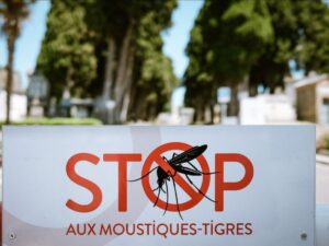 Chikungunya, dengue, Zika: 92 imported cases in mainland France since the beginning of May