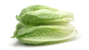 Publisher's Platform: What the FDA did not want you to read about the November 2024 E. coli outbreak