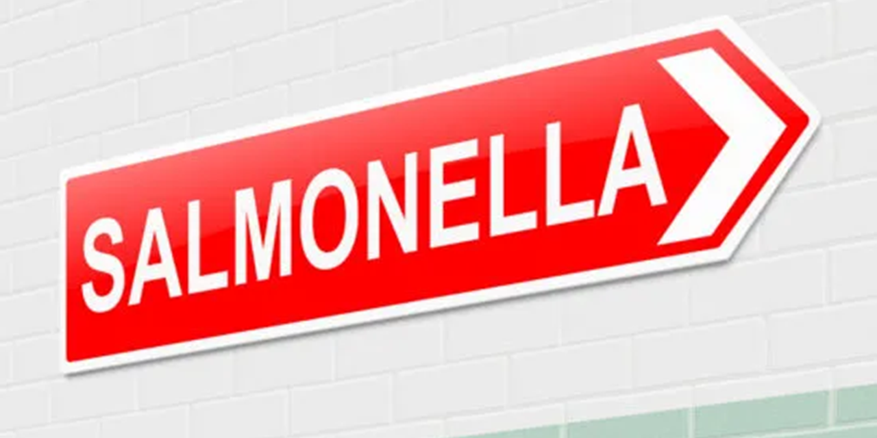 Suspicion falls on instant noodles in Salmonella outbreak