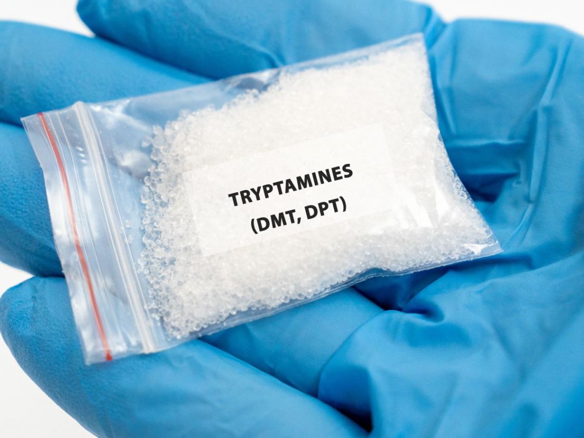 tryptamine-:-sept-derives-synthetiques-de-cette-substance-hallucinogene-interdits-en-france