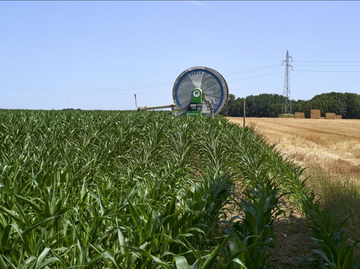 le-tfa-est-considere-comme-« toxique-pour-la-reproduction »-par-une-agence-de-l’ue