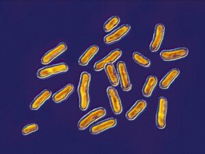 Climate change is exacerbating antibiotic resistance