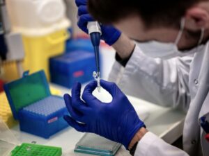 first human-to-human transmission of the dermatophilosis bacterium