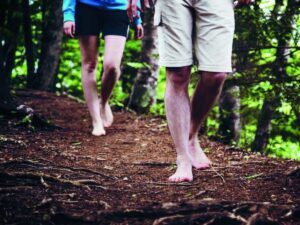 another-way-of-walking-is-possible