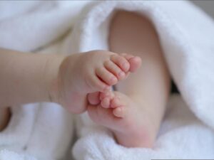 What if we stopped having children?