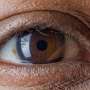 Genetic information helps predict the onset and progression of glaucoma