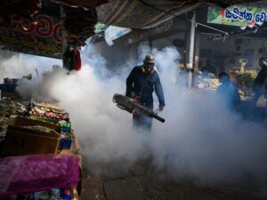 Dengue fever in Sri Lanka: 49 deaths and over 60,000 infections