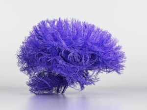 brain inflammation as the cause of autism