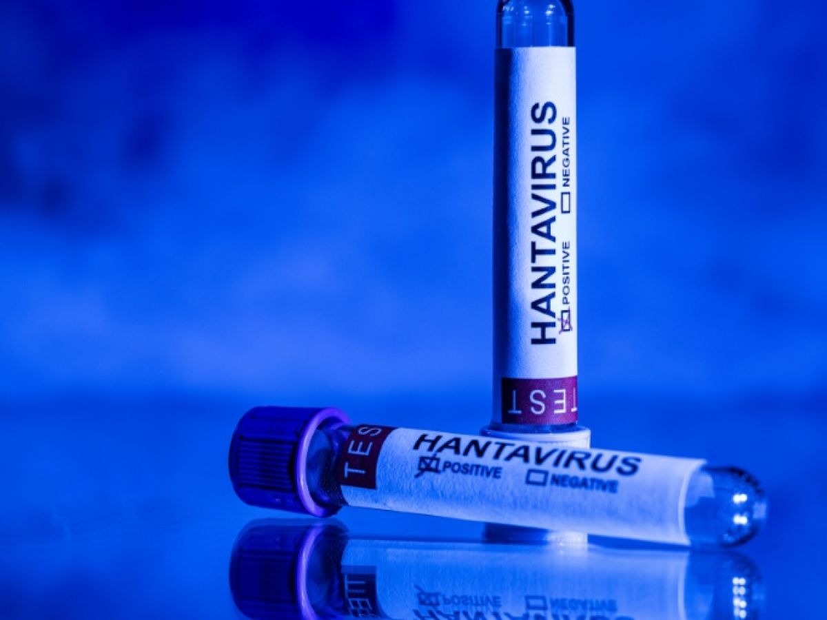 Hantavirus: Quarantine for contacts of infected tourists
