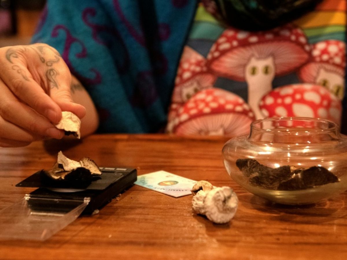les-psychedeliques-au-secours-des-patients-sous-chimio