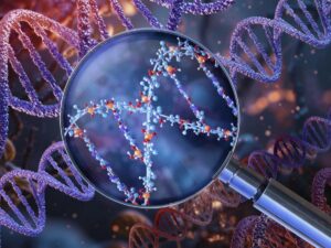Cautious or daredevil? Extroverted or shy? Our personality may have a genetic origin.