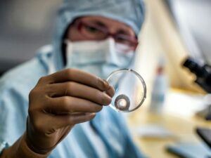 Organ donation: France opens the door to xenotransplantation