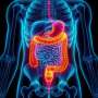 Focusing on the 'obesity paradox' to improve cancer treatment success