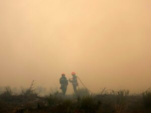 “We are the next asbestos victims“: firefighters, victims of forest fire smoke