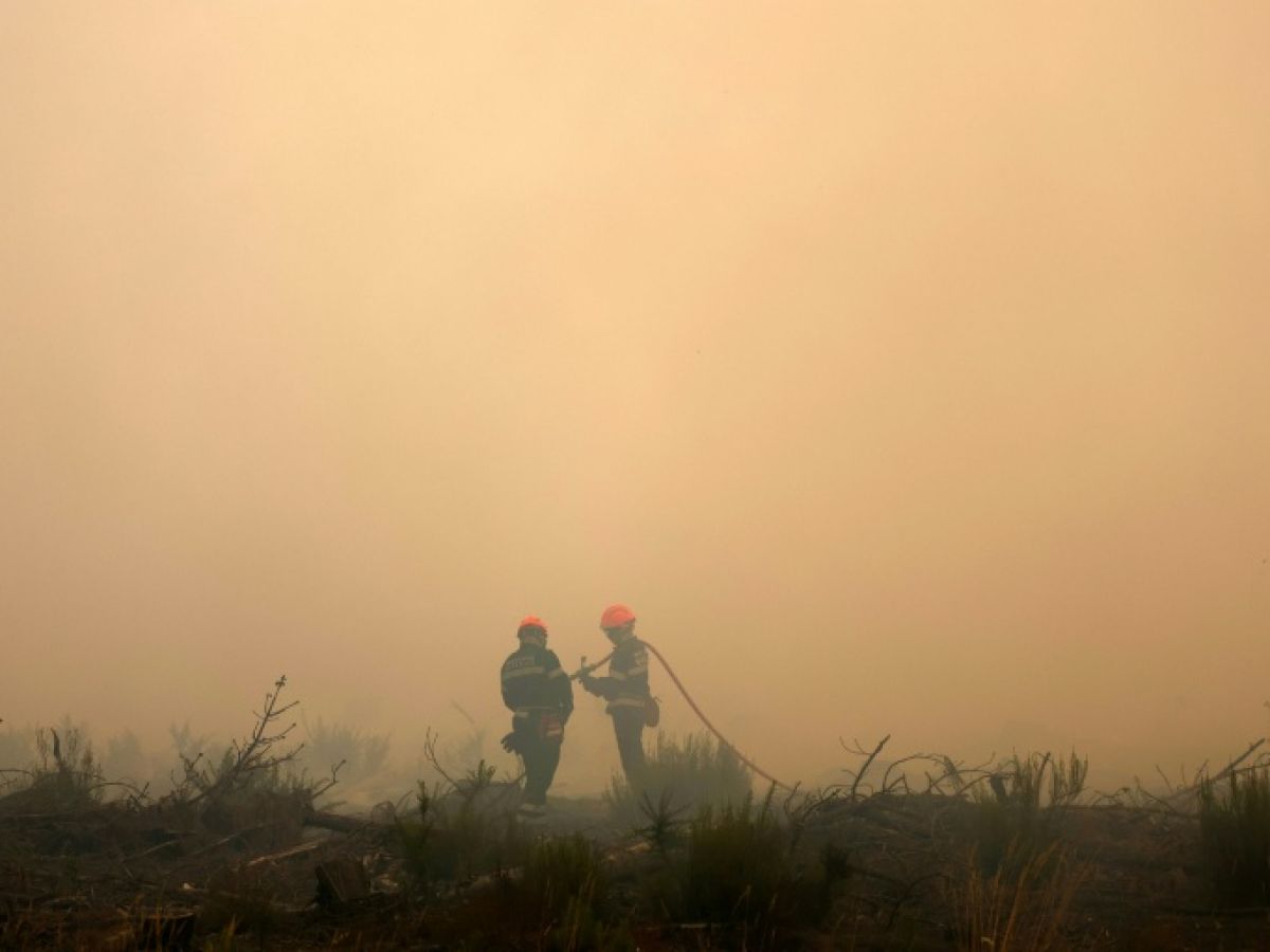 “on-est-les-prochains-amiantes“-:-les-pompiers,-victimes-des-fumees-de-feux-de-foret