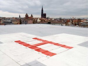 «"Pig affair" at the Strasbourg IHU: a patient files a complaint